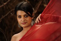 Tashu Kaushik Hot Saree Photos